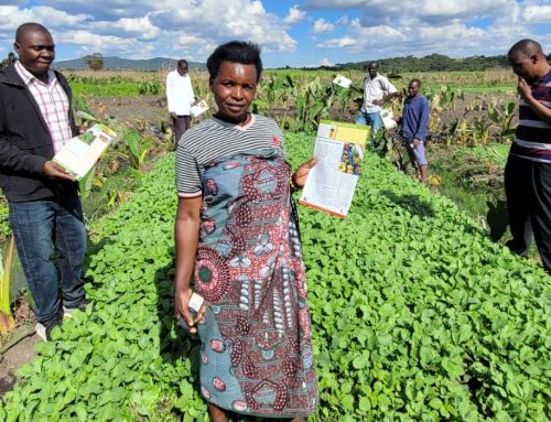 FOATZ headquarters employees visited Ichesa village Farmers in Mbozi