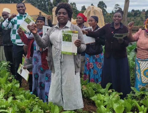 Organic Farming in Njombe