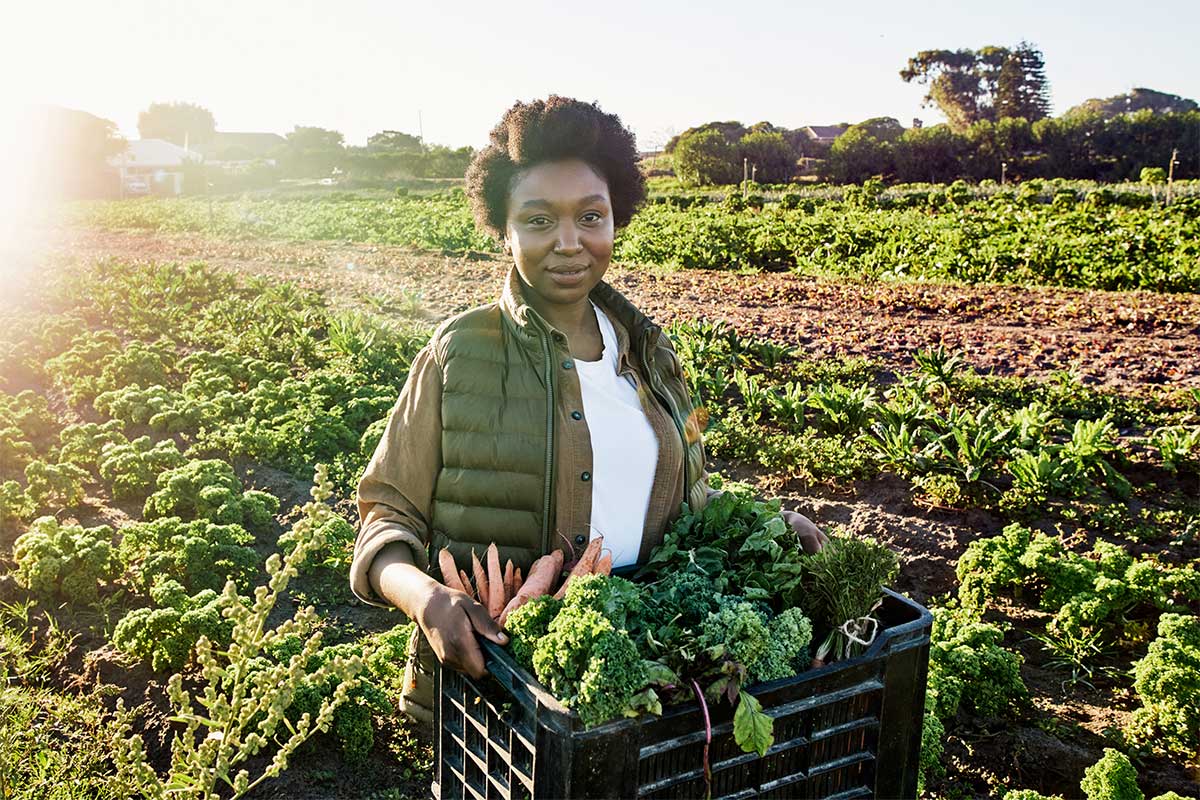 Organic Farmer