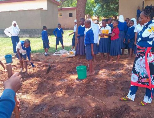 Teaching Basic Organic Agriculture to Primary School Students at Msamvu B